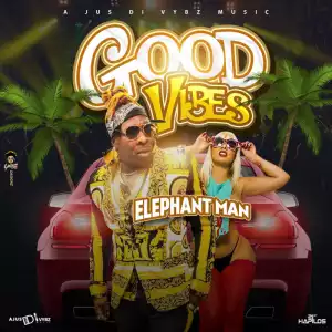Elephant Man - Good Vibes